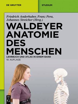 cover image of Waldeyer--Anatomie des Menschen